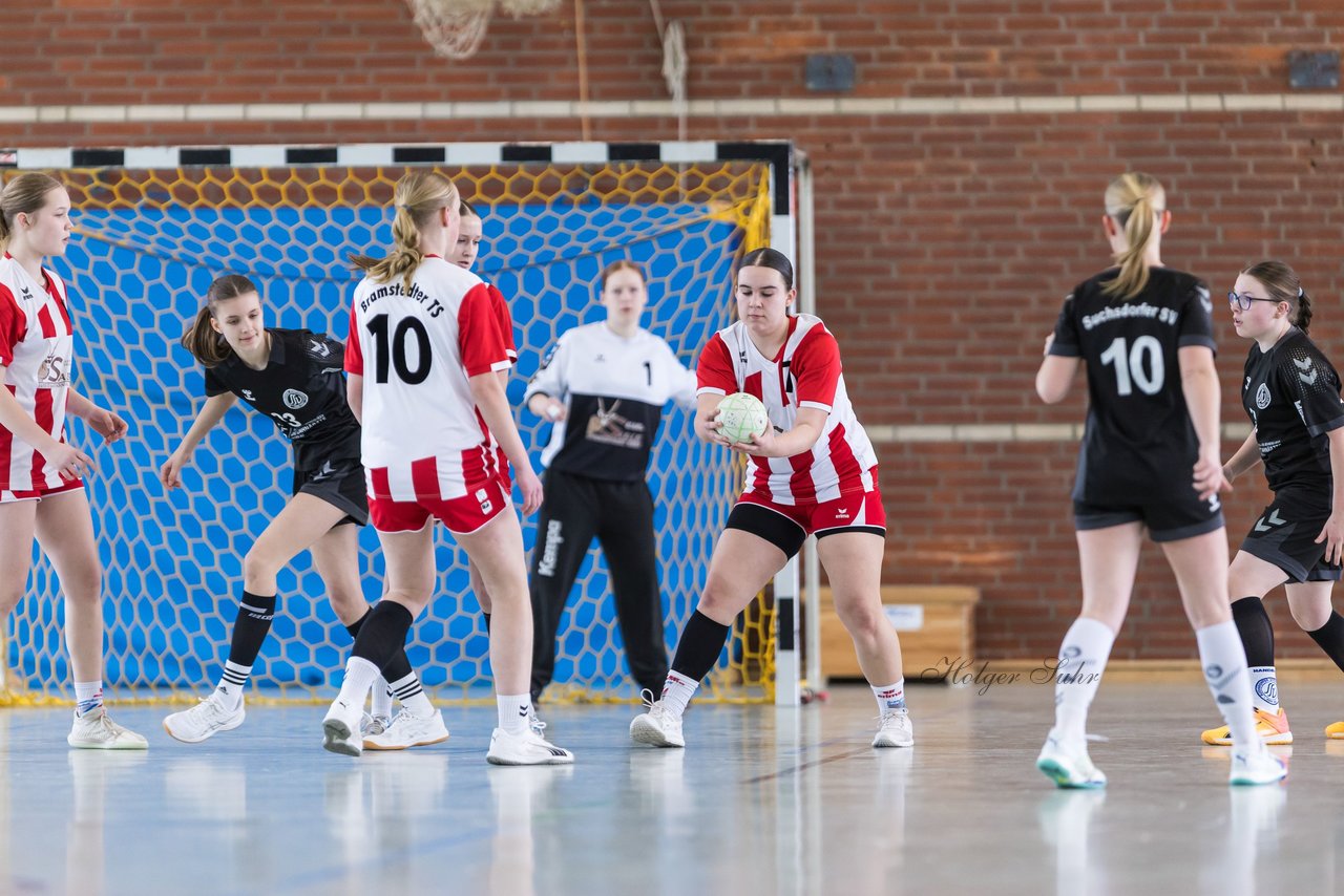 Bild 62 - wCJ Bramstedter TS - Suchsdorfer SV : Ergebnis: 30:25